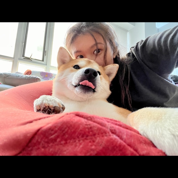 Meet your Posher, Keyi - Picture 4 of 5